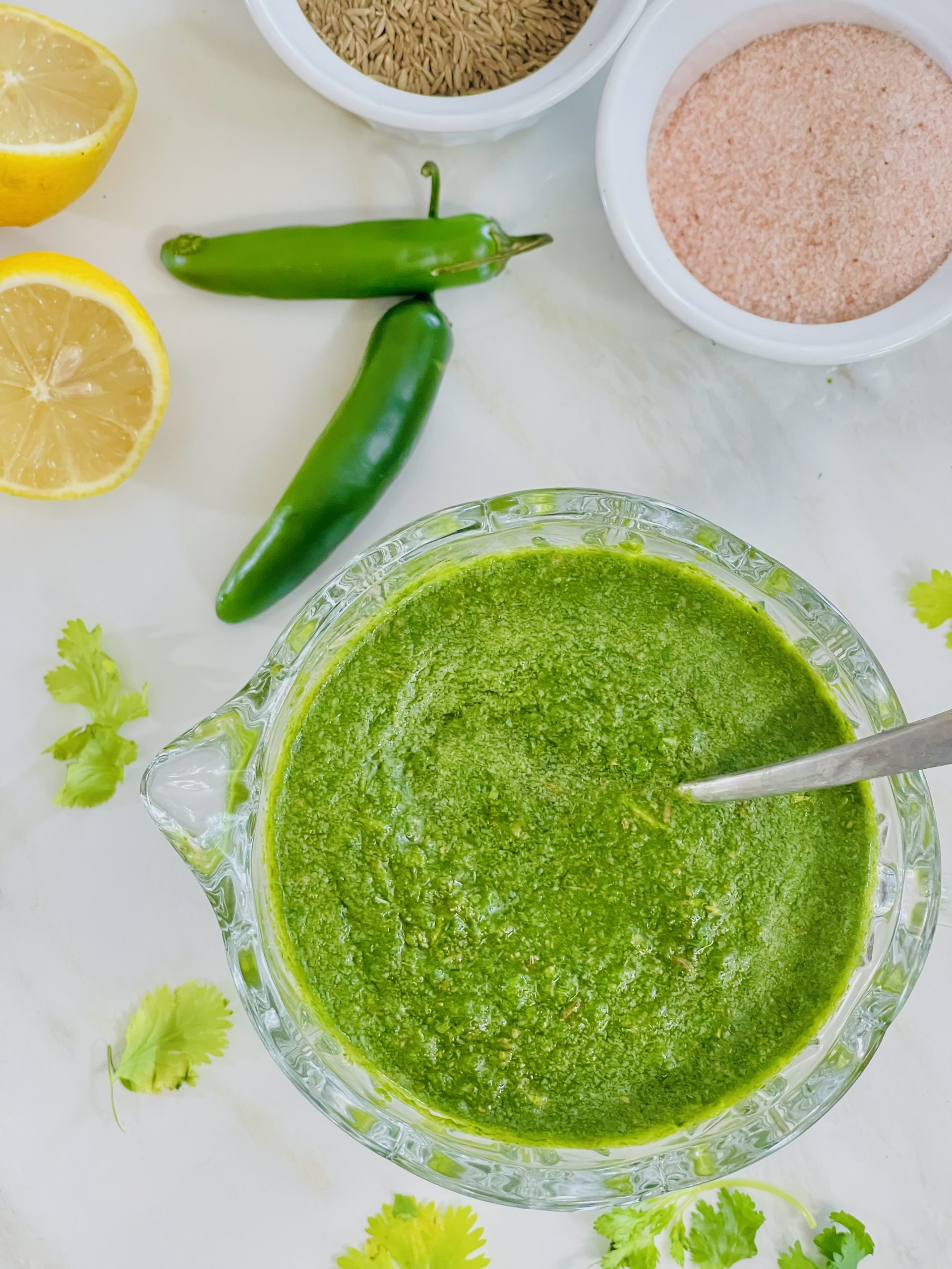Easy Green Chutney Best Cilantro Sauce With Lemon And Garlic
